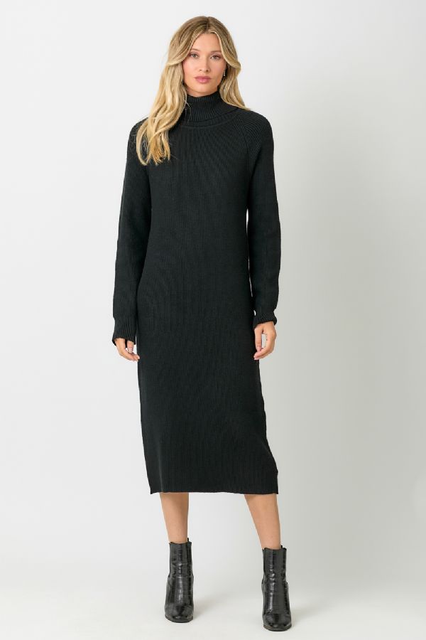 TURTLE NECK SWEATER DRESS