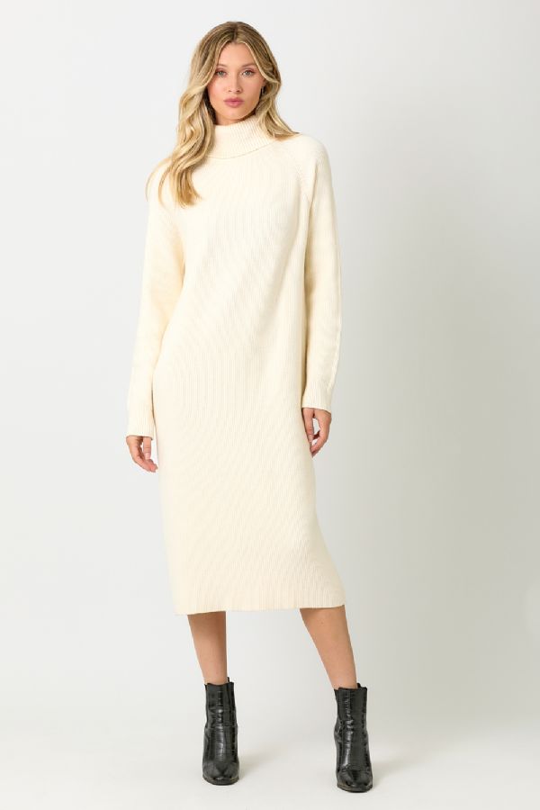 TURTLE NECK SWEATER DRESS