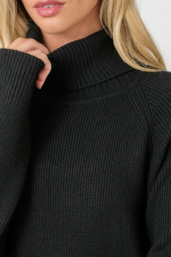 TURTLE NECK SWEATER DRESS