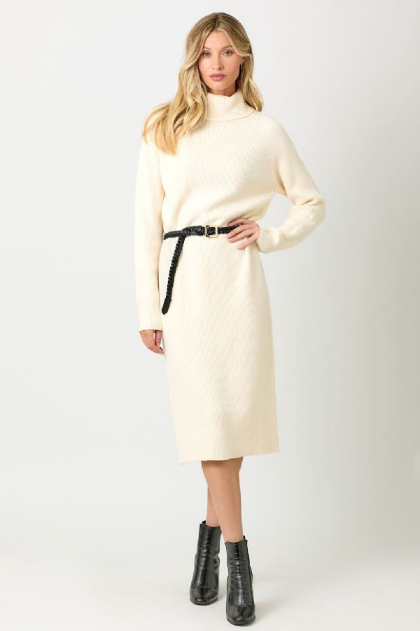 TURTLE NECK SWEATER DRESS