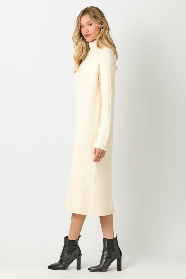 TURTLE NECK SWEATER DRESS