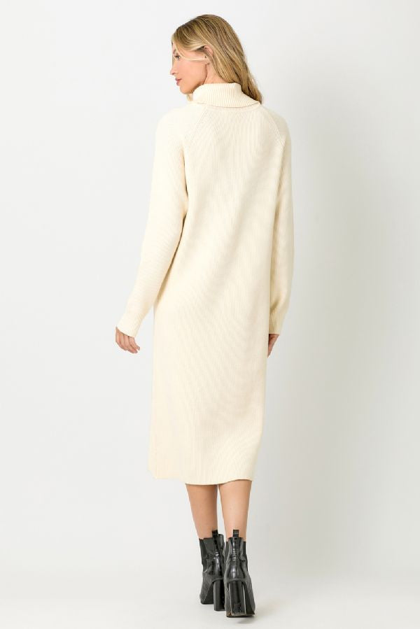 TURTLE NECK SWEATER DRESS