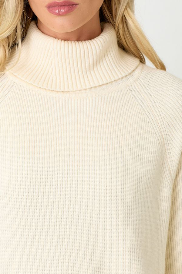 TURTLE NECK SWEATER DRESS