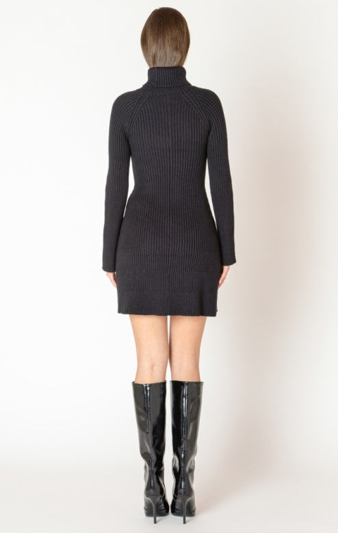 Turtleneck Mini Sweater Dress