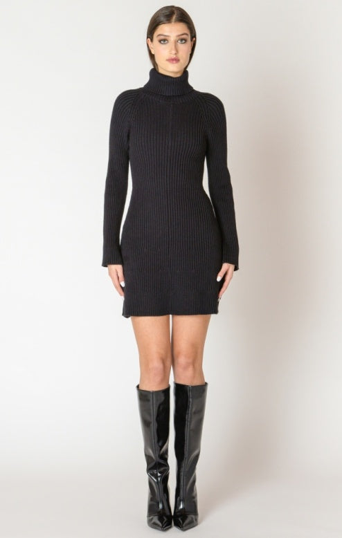 Turtleneck Mini Sweater Dress